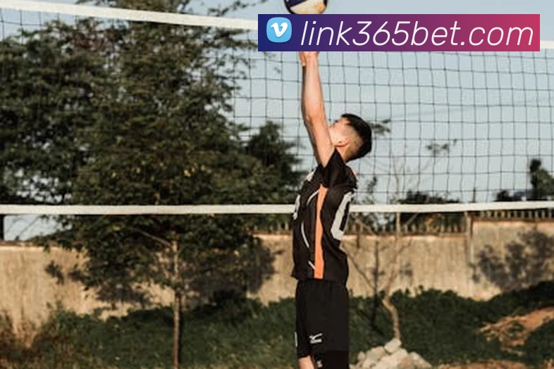 Bet365全站App